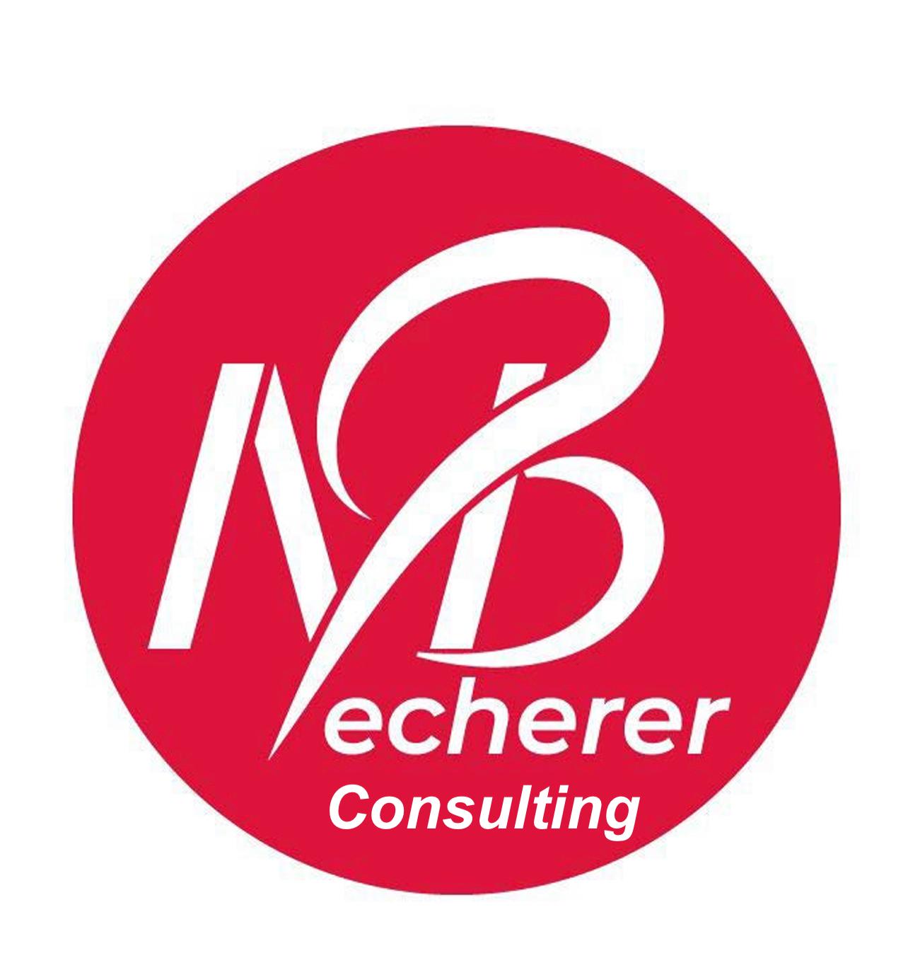 Becherer consulting